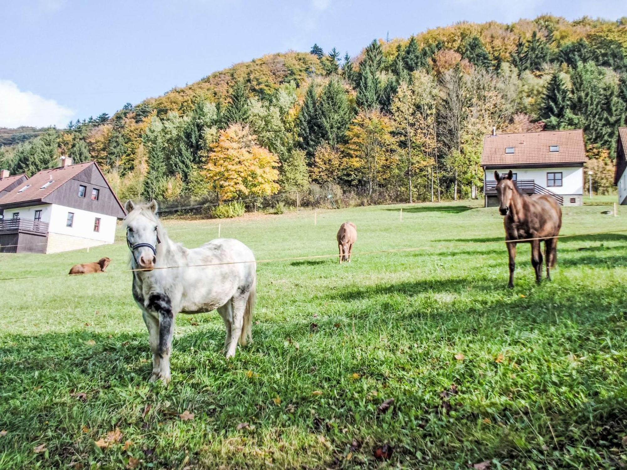 Holiday Home Starkov By Interhome エクステリア 写真